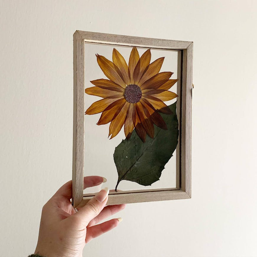 Framed Sunflower