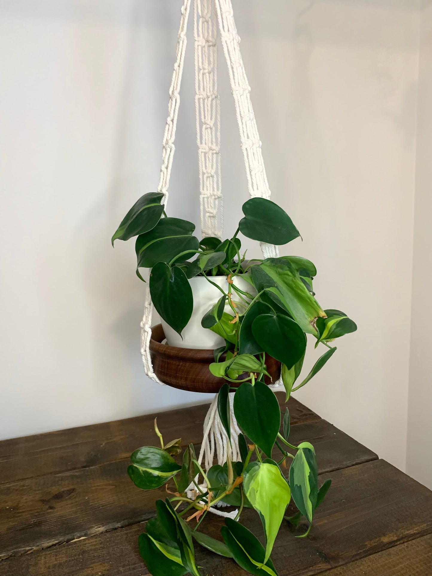 Large Macrame Hanger