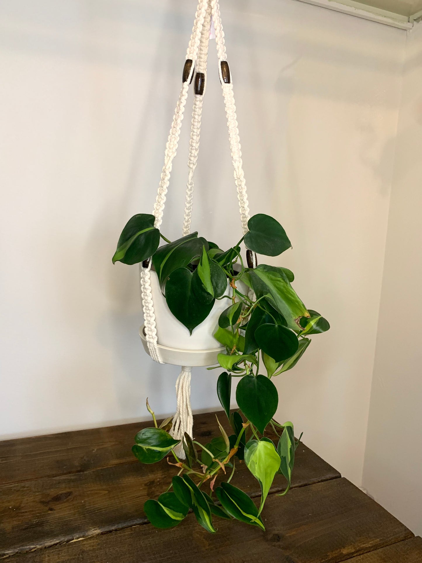 Large Macrame Hanger