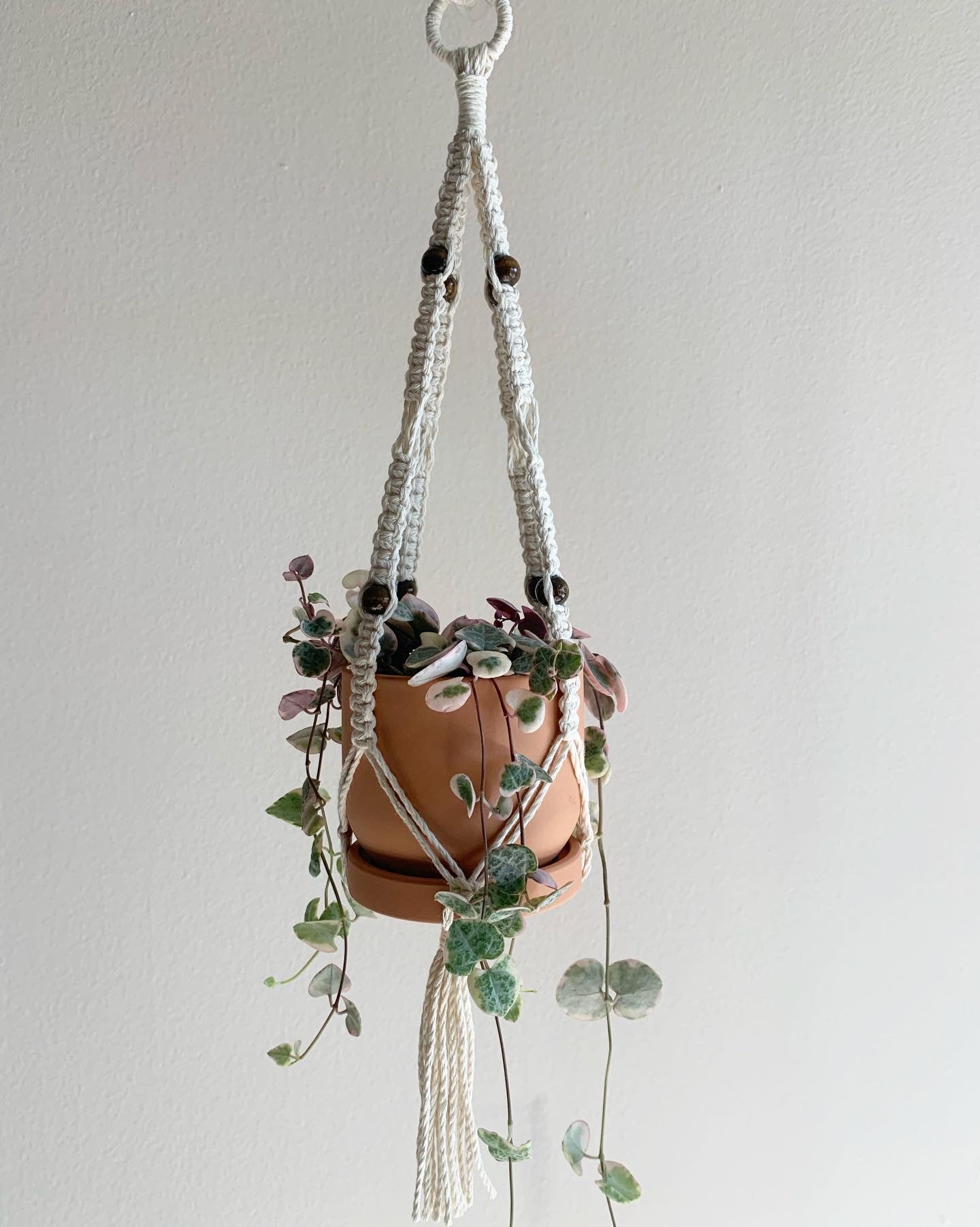 Small Macrame Hanger