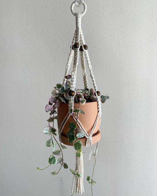 Small Macrame Hanger