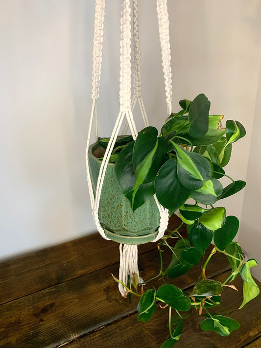 Macrame Hanger w/ Ceramic pot