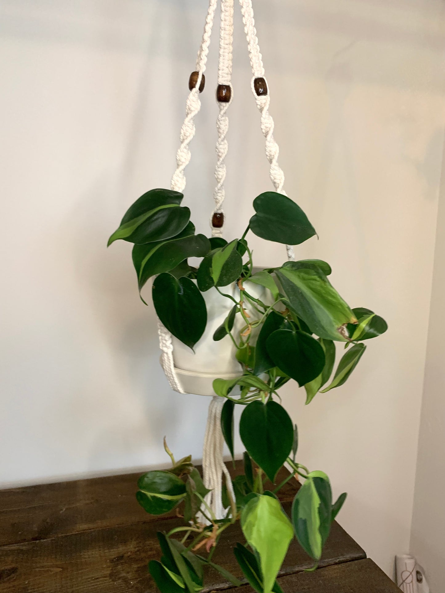 Macrame Plant Hanger