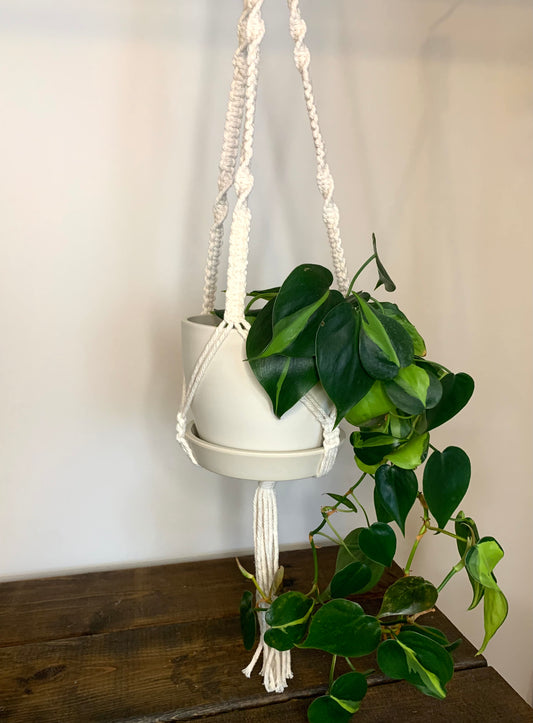 Macrame Plant Hanger