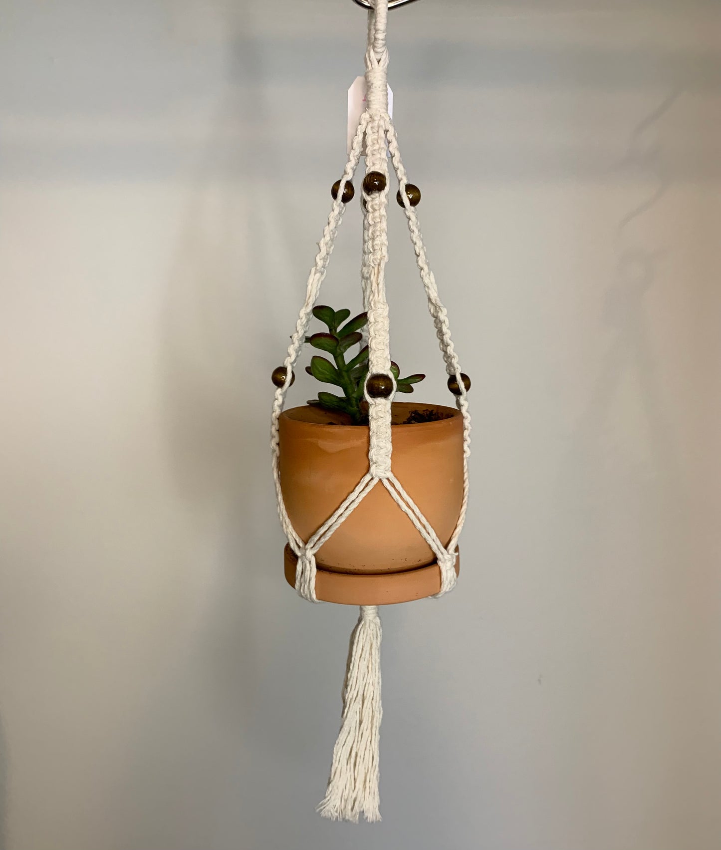 Small Macrame Hanger