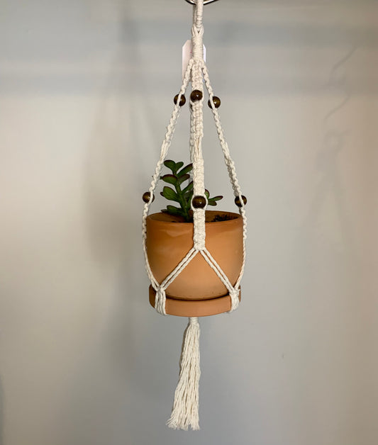 Small Macrame Hanger